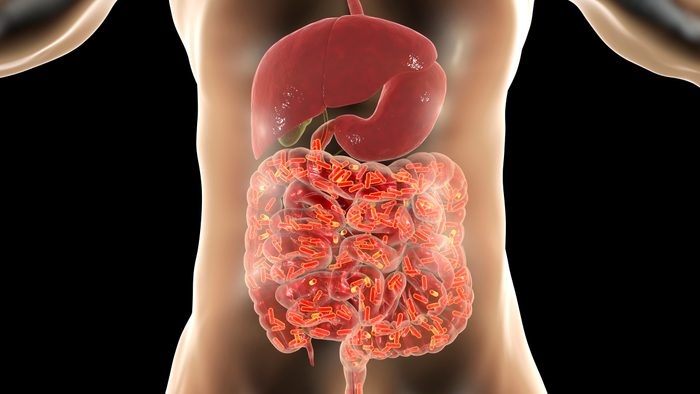 Alkaline Structured Silver for a Healthy Gut