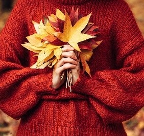 Photo - Fall Leaves and Sweater